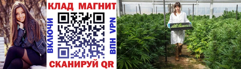 Где можно купить наркотики Соль-Илецк Псилоцибиновые грибы A-PVP COCAIN ГАШИШ Меф Марихуана