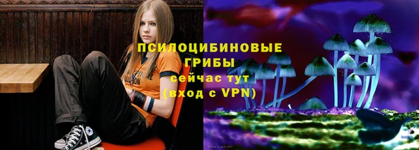 мдма Пролетарск