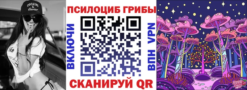 kraken как зайти  даркнет сайт  Соль-Илецк  Псилоцибиновые грибы Psilocybine cubensis 