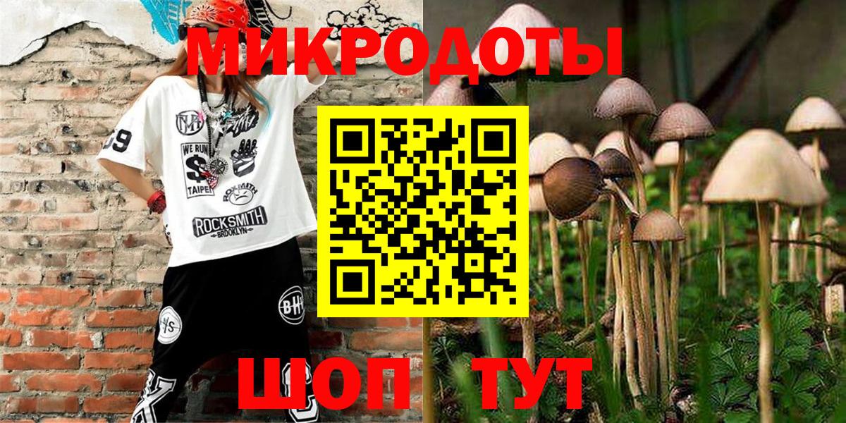Галлюциногенные грибы Psilocybine cubensis Соль-Илецк
