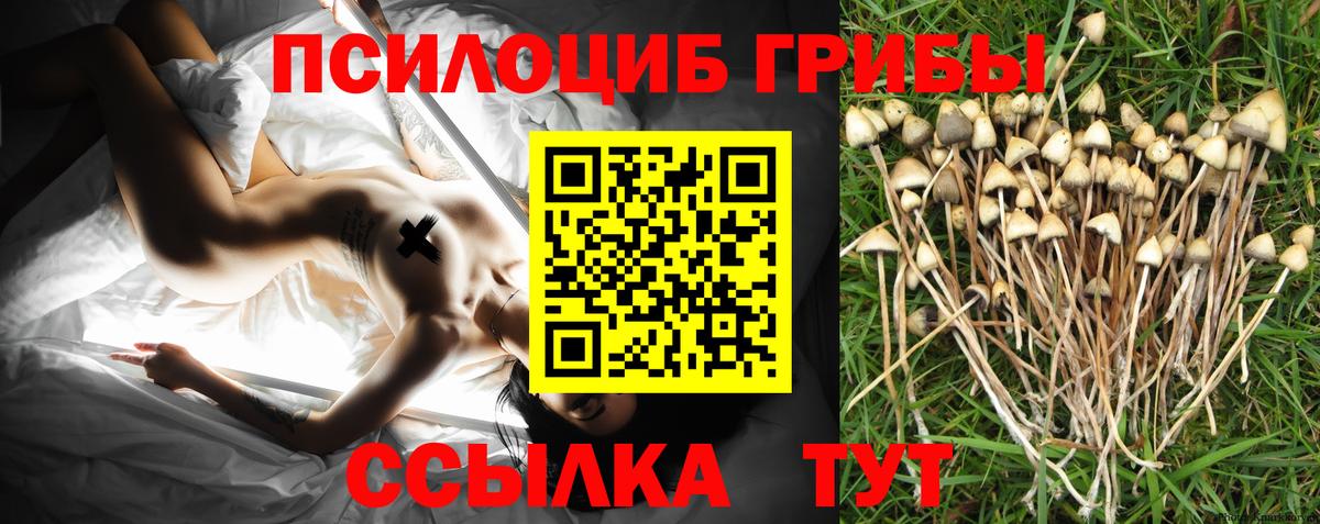 Псилоцибиновые грибы мицелий  Вход с VPN  Соль-Илецк 