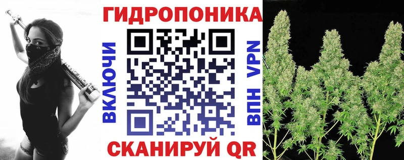 закладки  Соль-Илецк  МАРИХУАНА OG Kush 